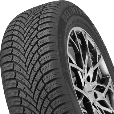 Delinte Winter Force